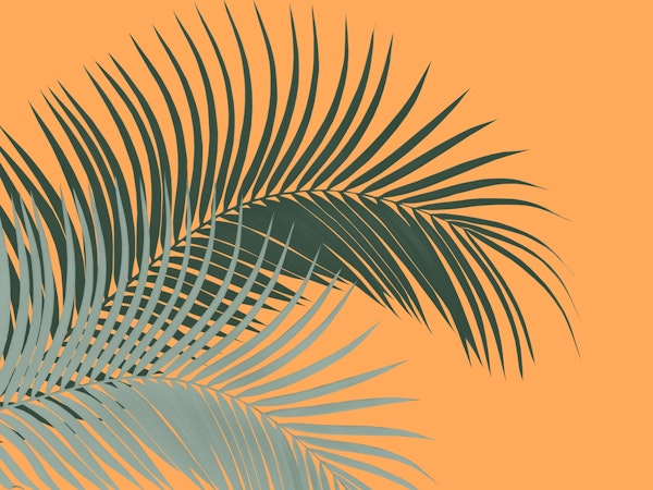 Palm Leaves Green Orange 1