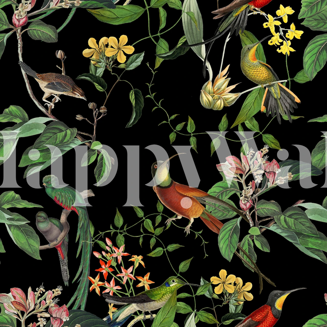 Exotic Hummingbird wallpaper in kamersetting.