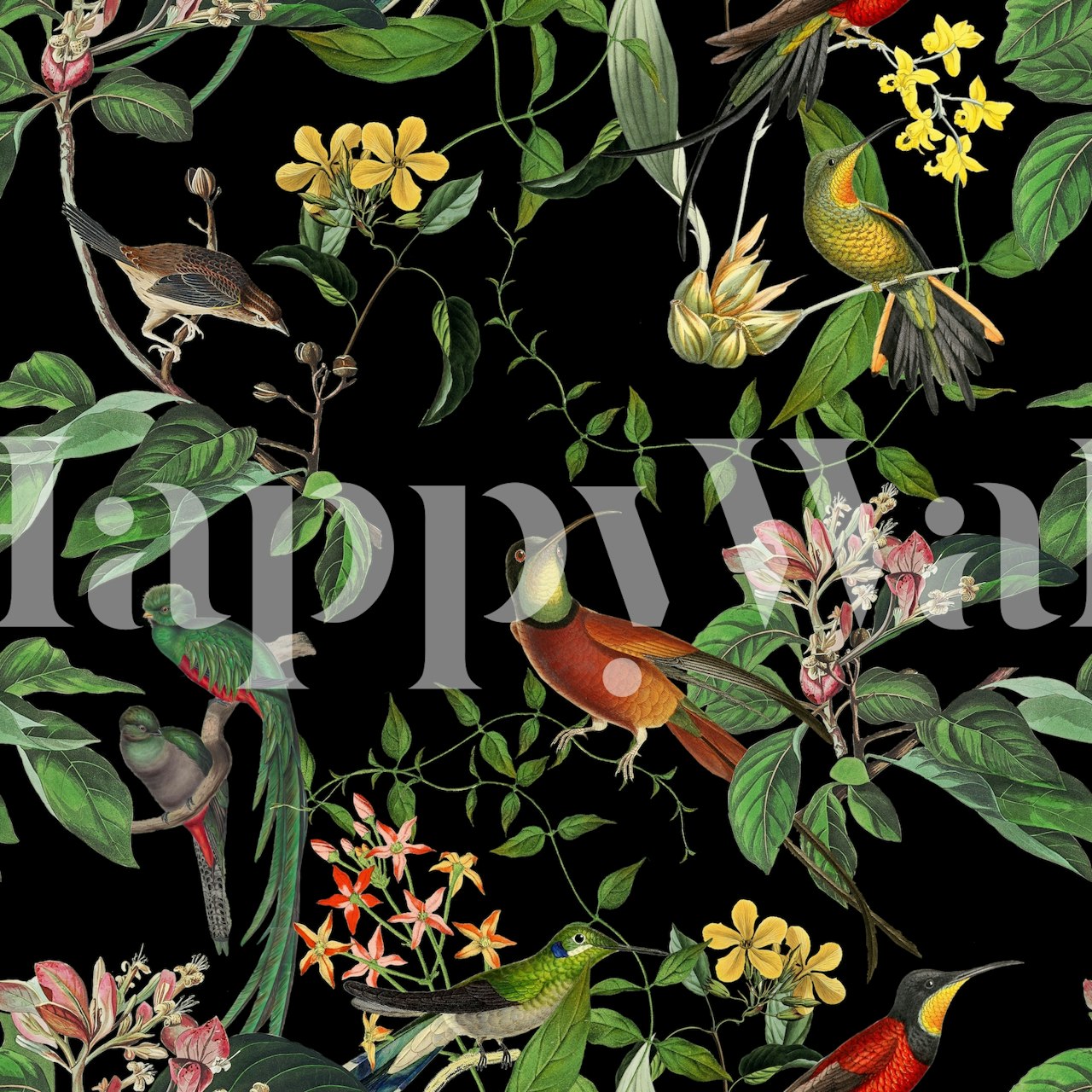 Carta da parati Exotic Hummingbird in un ambiente stanza.