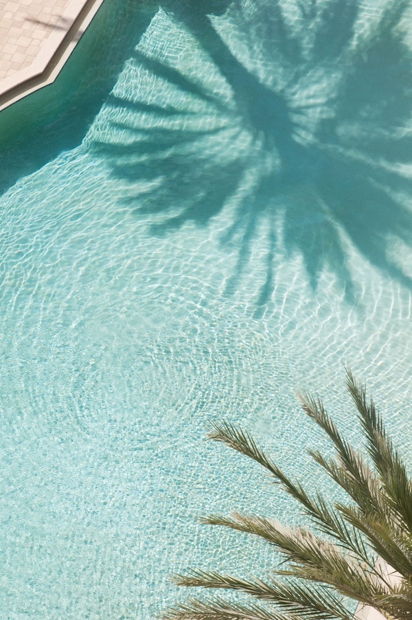 Palm Tree Pool Dream 2
