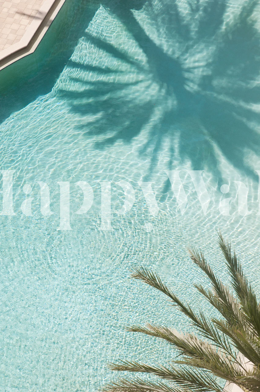 Palm tree shadow on clear blue pool water wallpaper