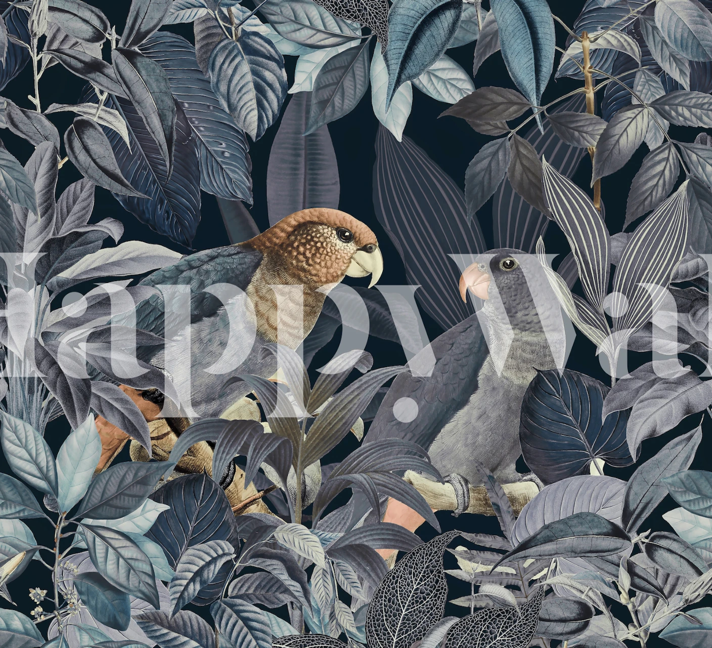 Moody papegaaien jungle behang met tropische vogels en donker loof