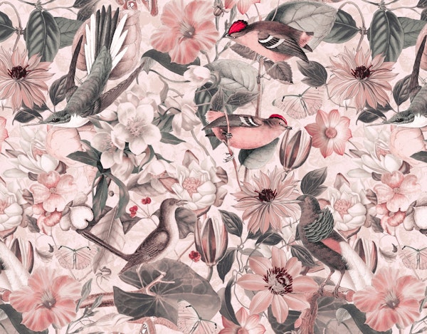 Pink Jungle Bird Garden