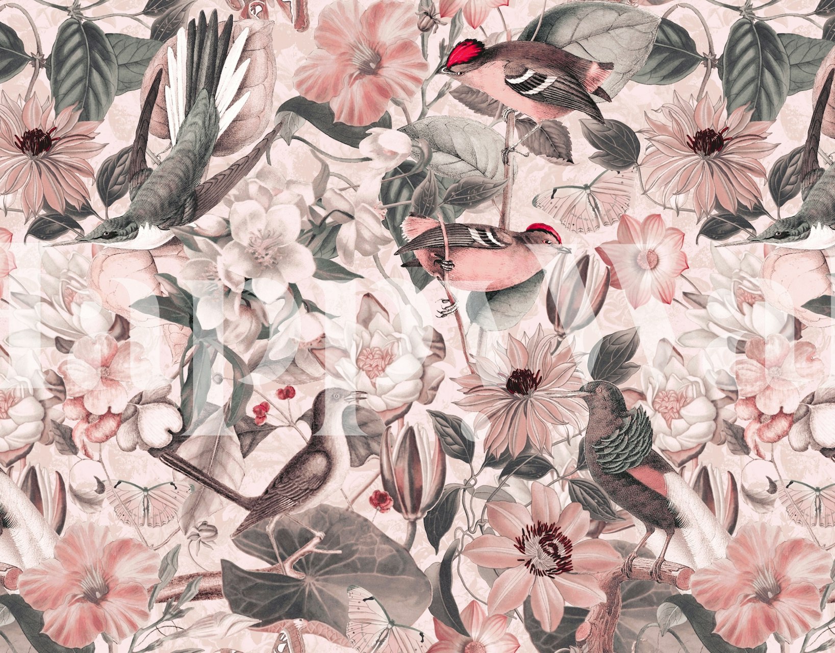 Εξαιρετικό τοιχογραφία Pink Jungle Bird Garden με πουλιά και λουλούδια που δημιουργεί μια ήρεμη ατμόσφαιρα κήπου ζούγκλας.