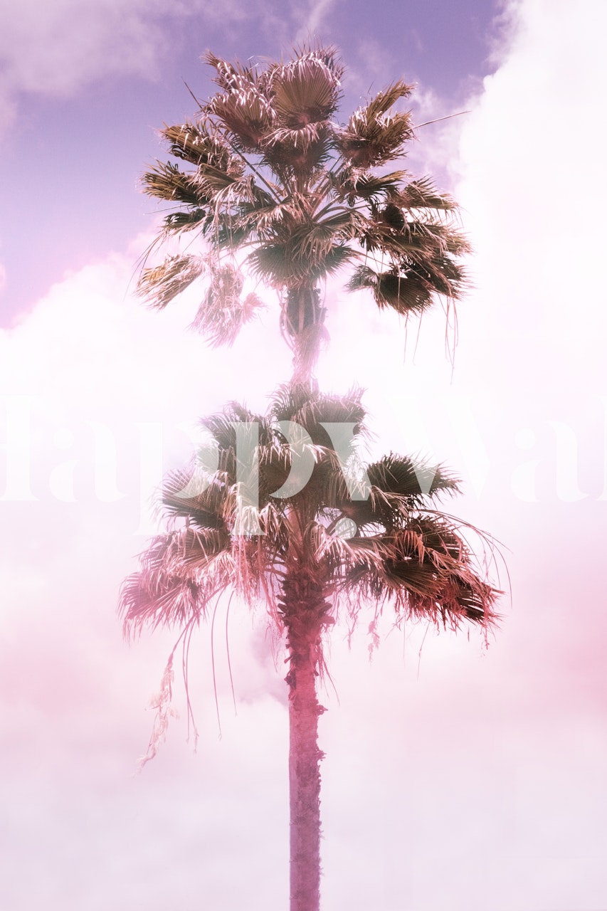 Tapeta Palm Tree Duo 1 u sobi