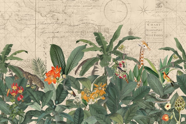 Discover The Vintage World 2