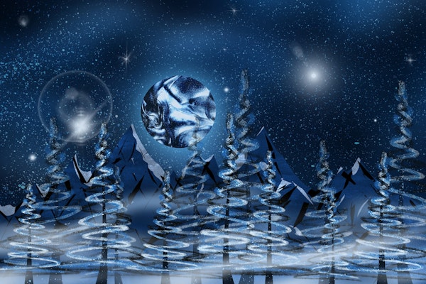 Christmas forest by full moon