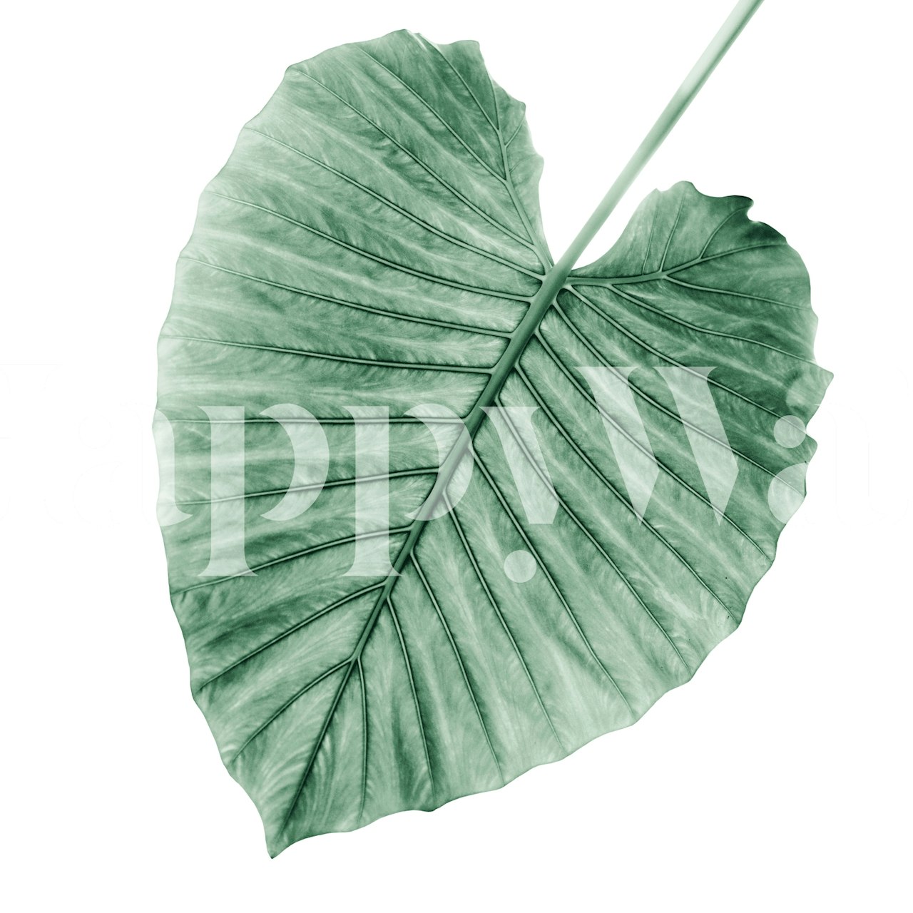 Enkele groenblijvende bladmuurschildering van Love Leaves Evergreen - Her 1 collectie