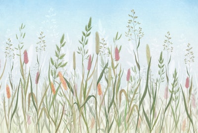 Mural