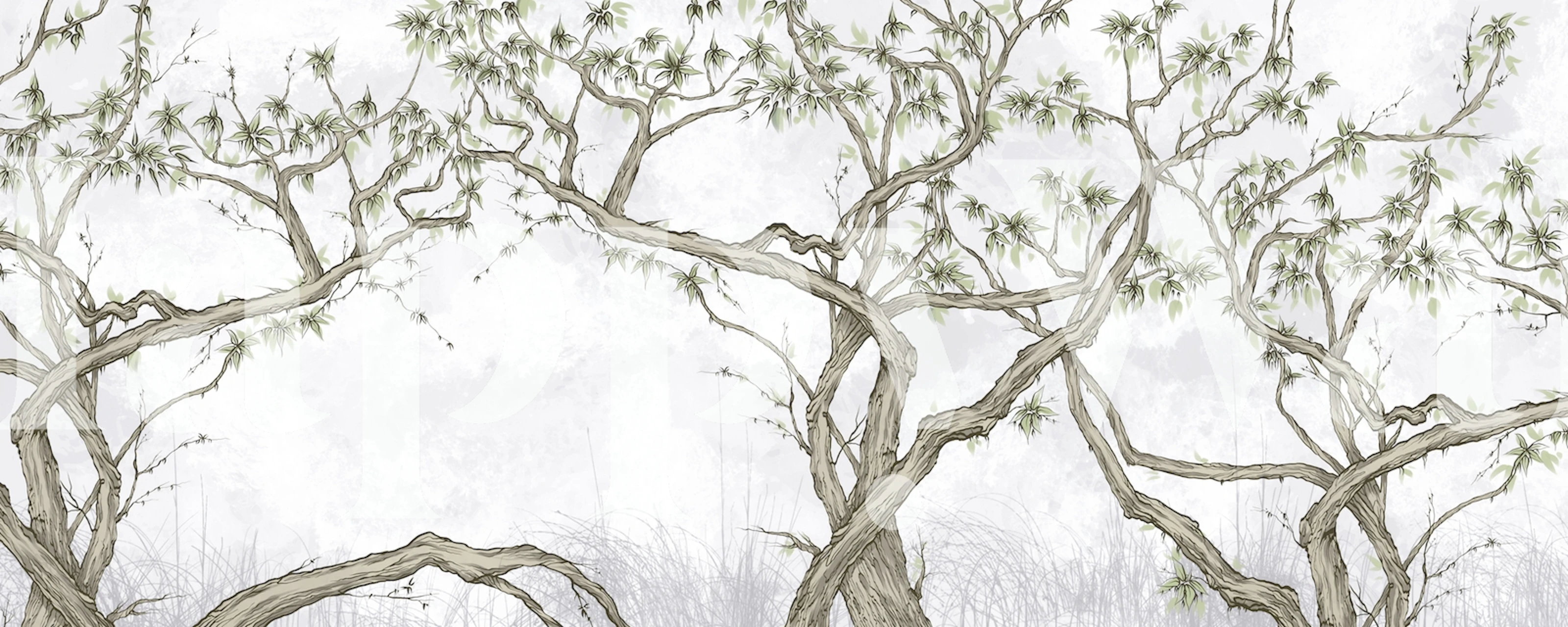 Tree branches with green leaves on soft gray background wallpaper