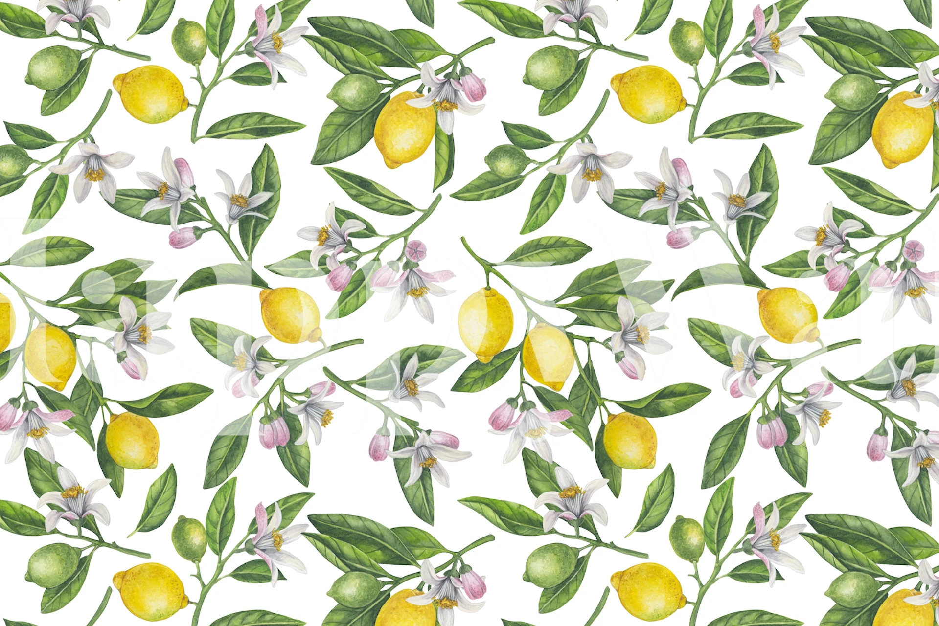 Yellow lemons and white blooms on green leaves wallpaper