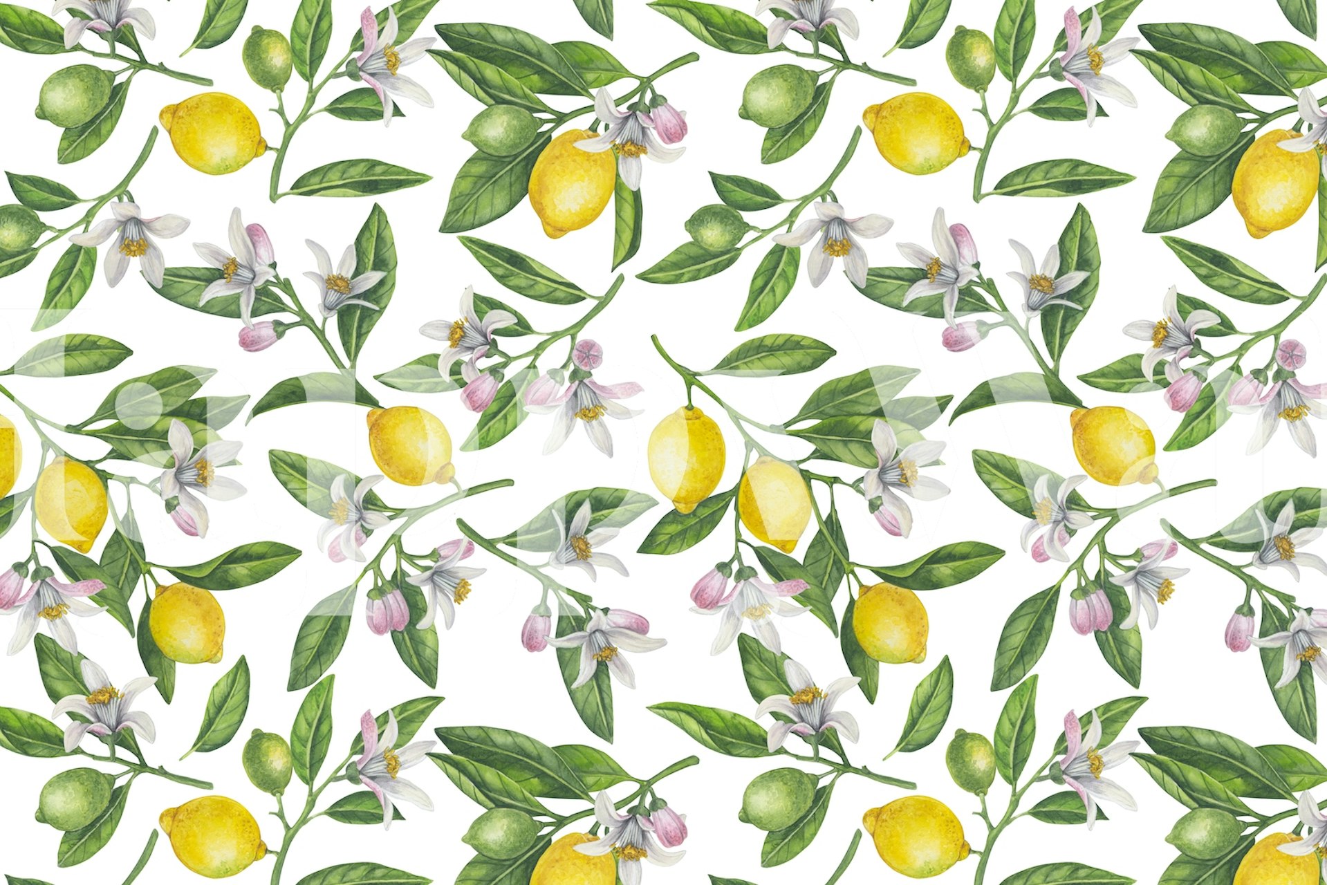 Yellow lemons and white blooms on green leaves wallpaper