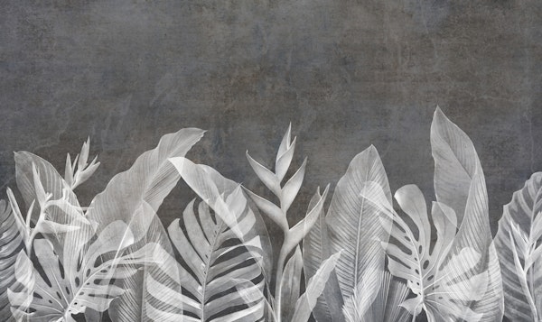 Leaves on dark concrete