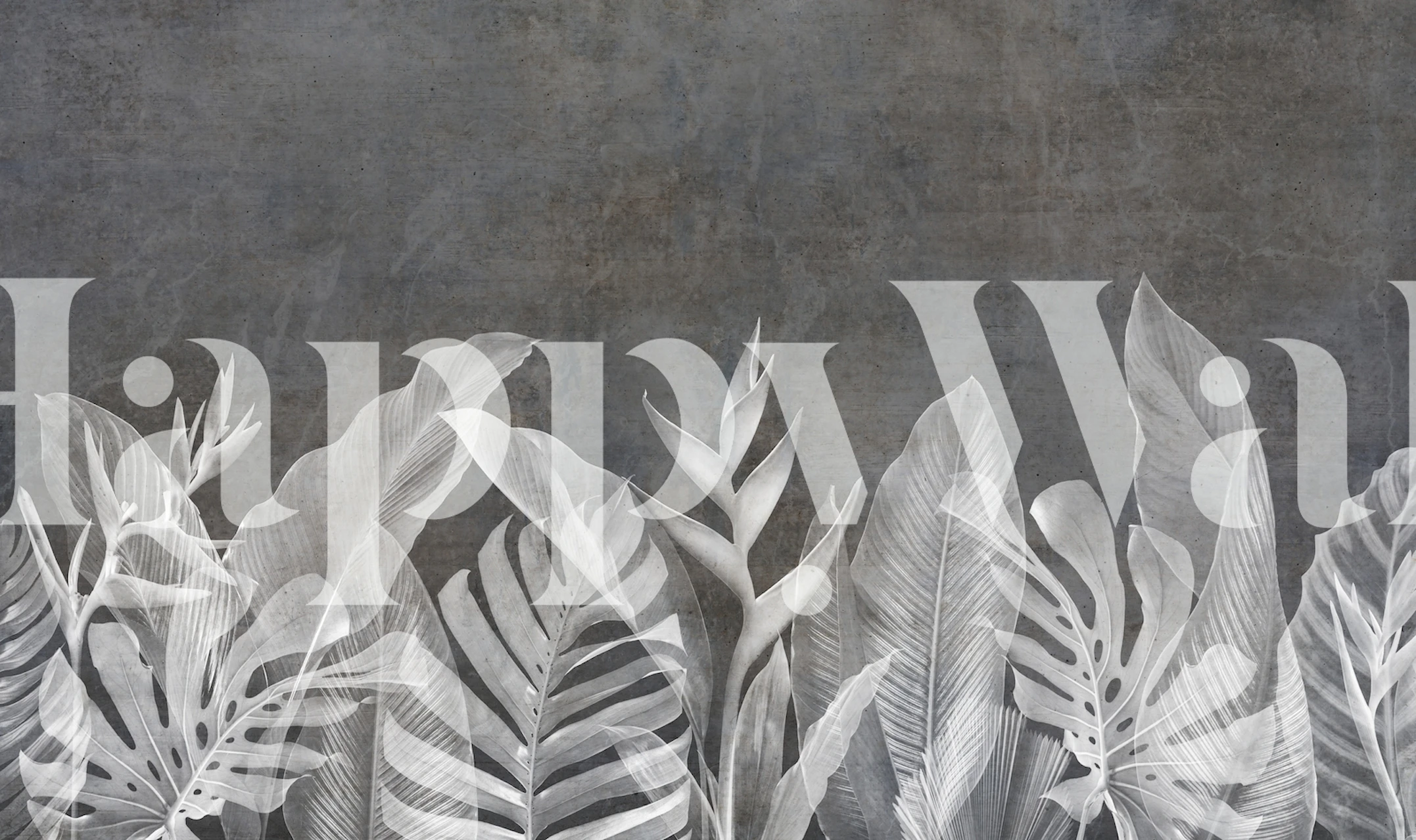 White tropical leaves against dark concrete background wallpaper