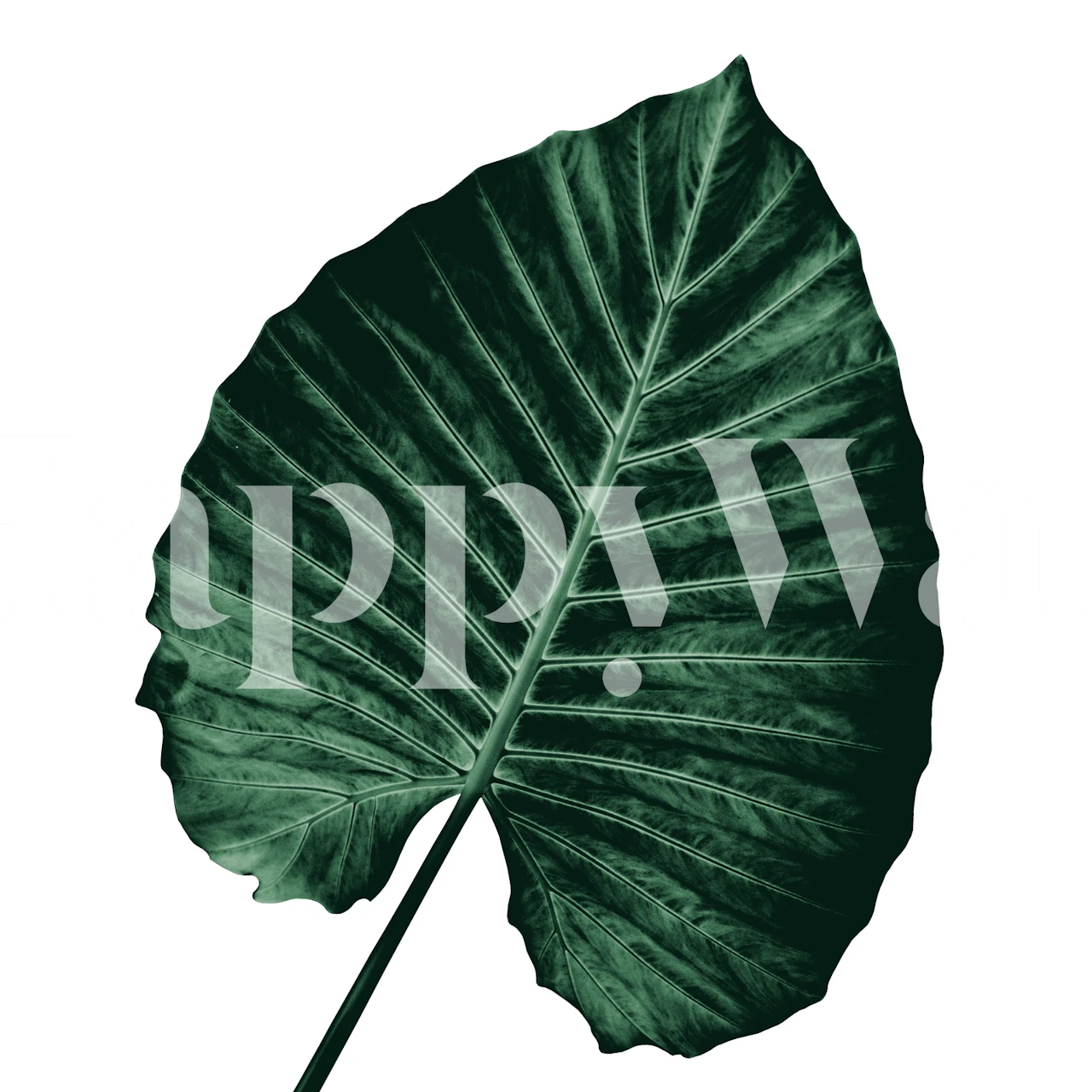 Love Leaves Evergreen wallpaper in a room