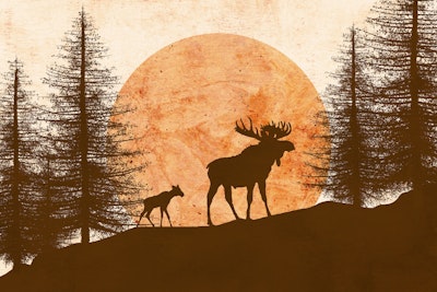 Mural