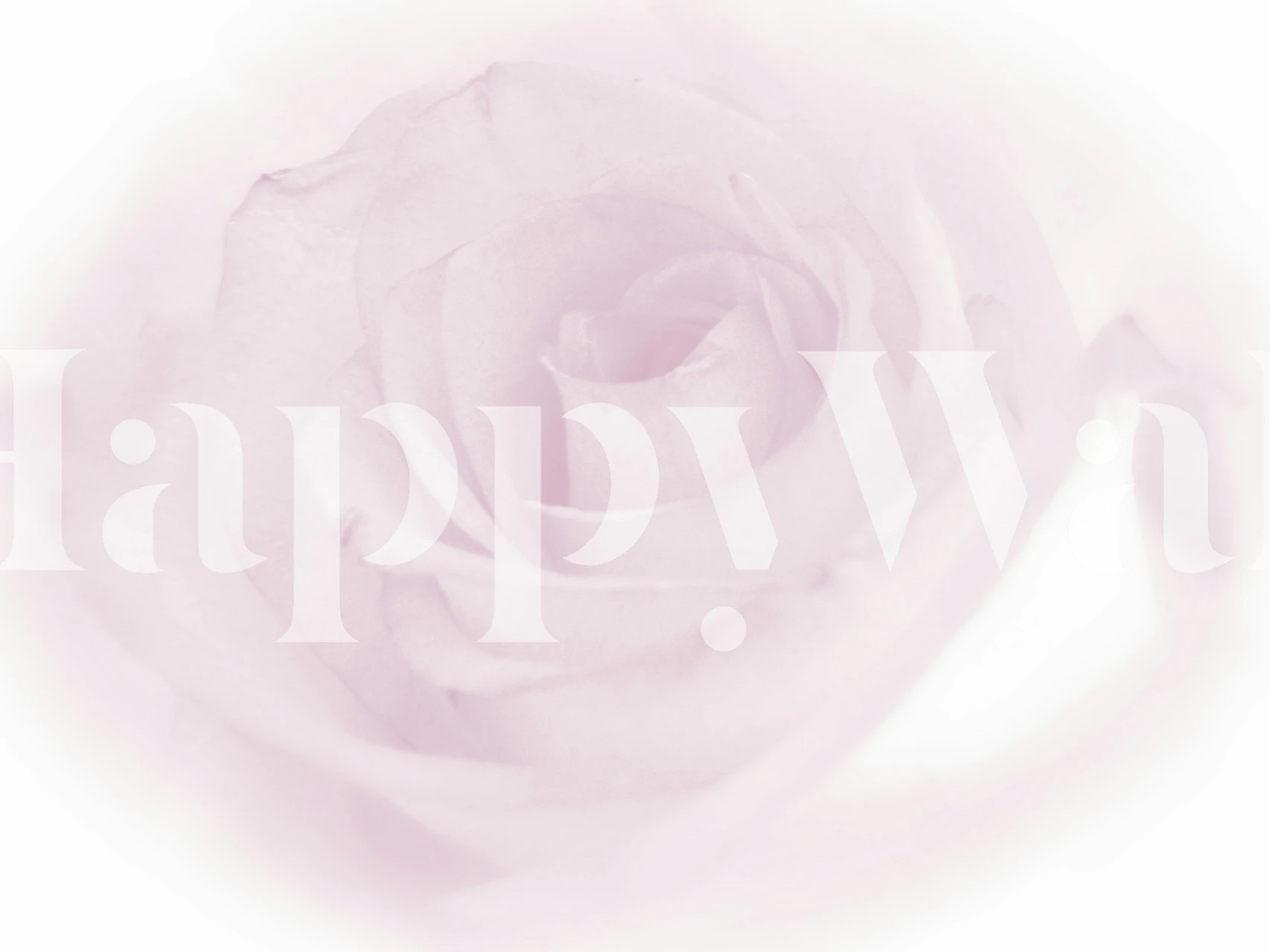 Soft light pink rose wallpaper with floral pattern