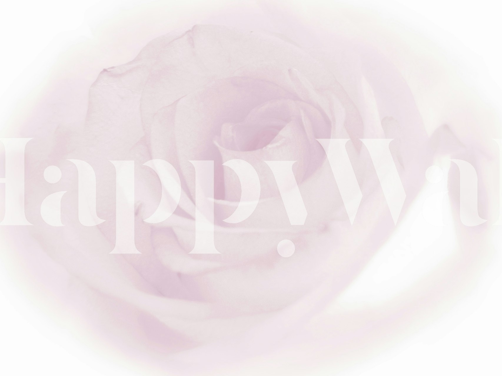 Patrón de papel pintado Soft Light Pink Rose