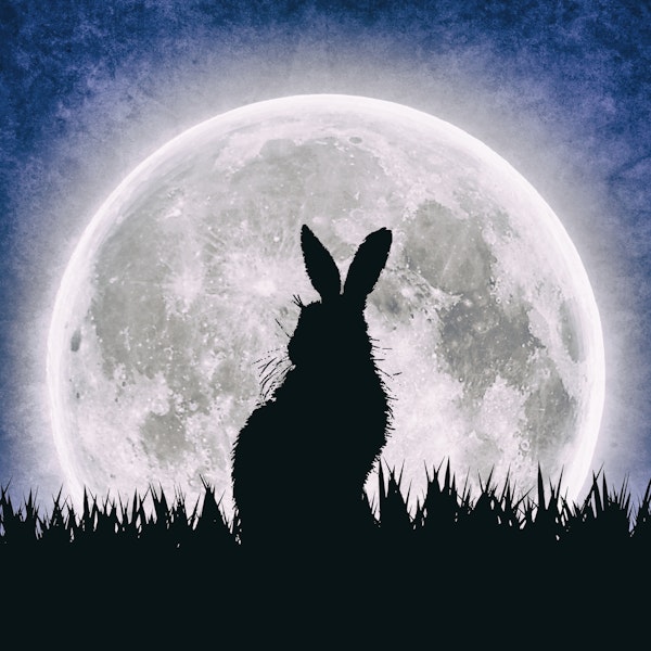 Hares moon