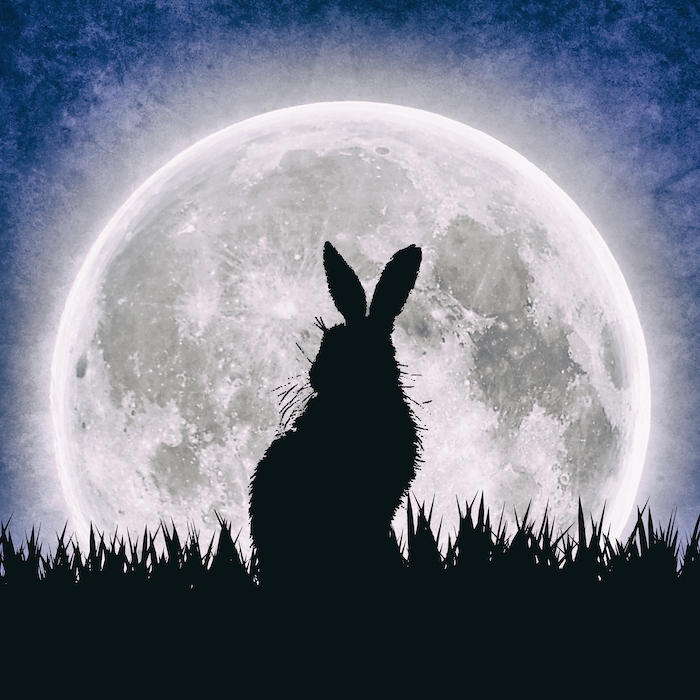 Hares Moon Wallpaper