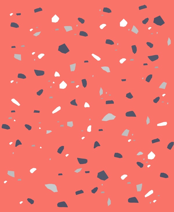 Living Coral Terrazzo 1