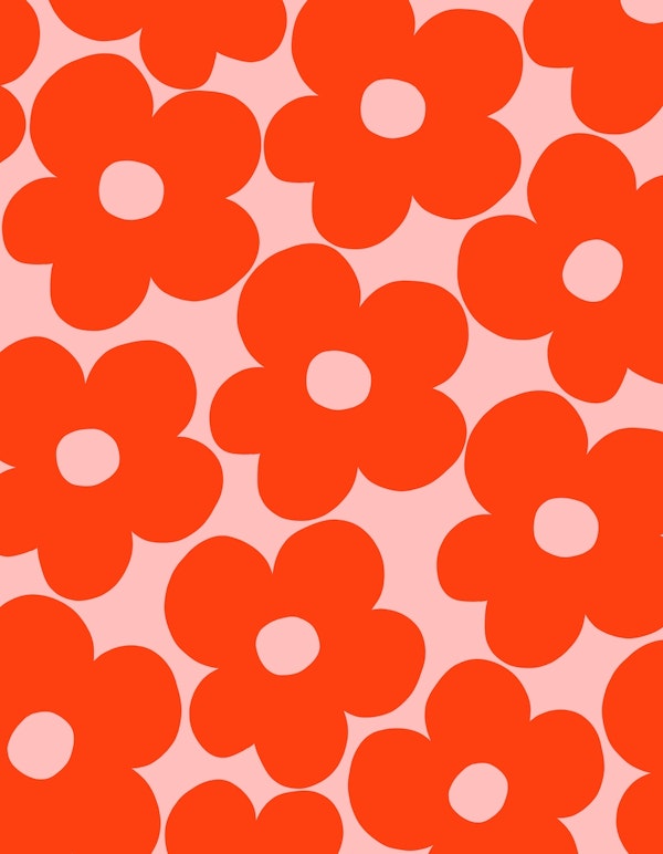 Retro Strawberry Daisies 1