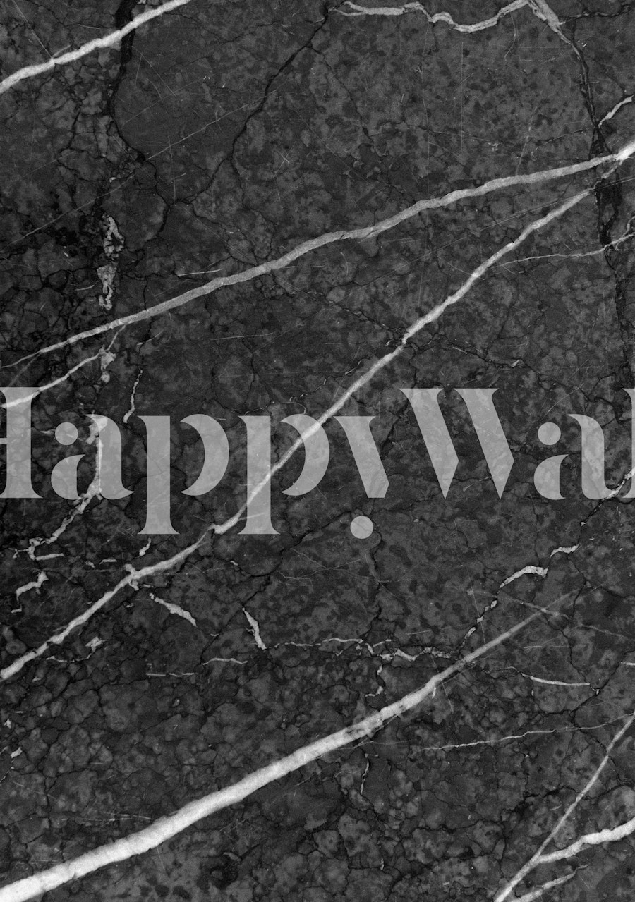 Gray Black Marble Glam 2 tapet i rummet