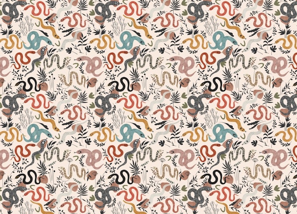 Colorful desert snakes