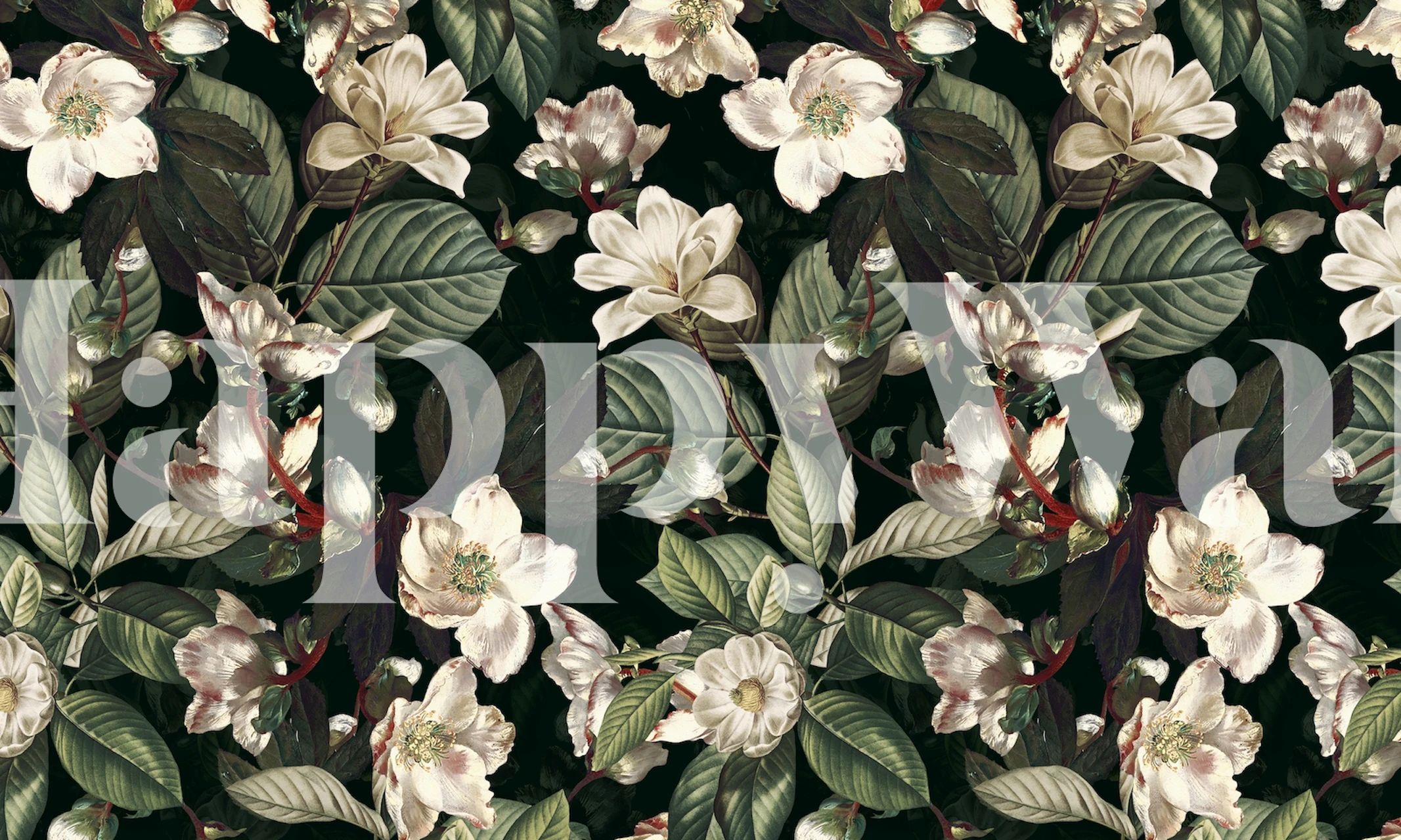 Dark floral wallpaper with white and green flowers and leaves