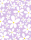 Retro Spring Daisies 1