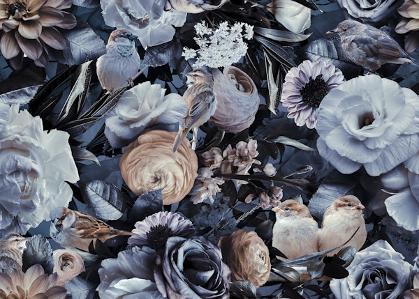 Moody Blue Flowers And Birds