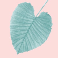 Love Leaves Evergreen Blush 1 tapete