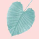 Love Leaves Evergreen Blush 1