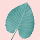 Love Leaves Evergreen Blush 3