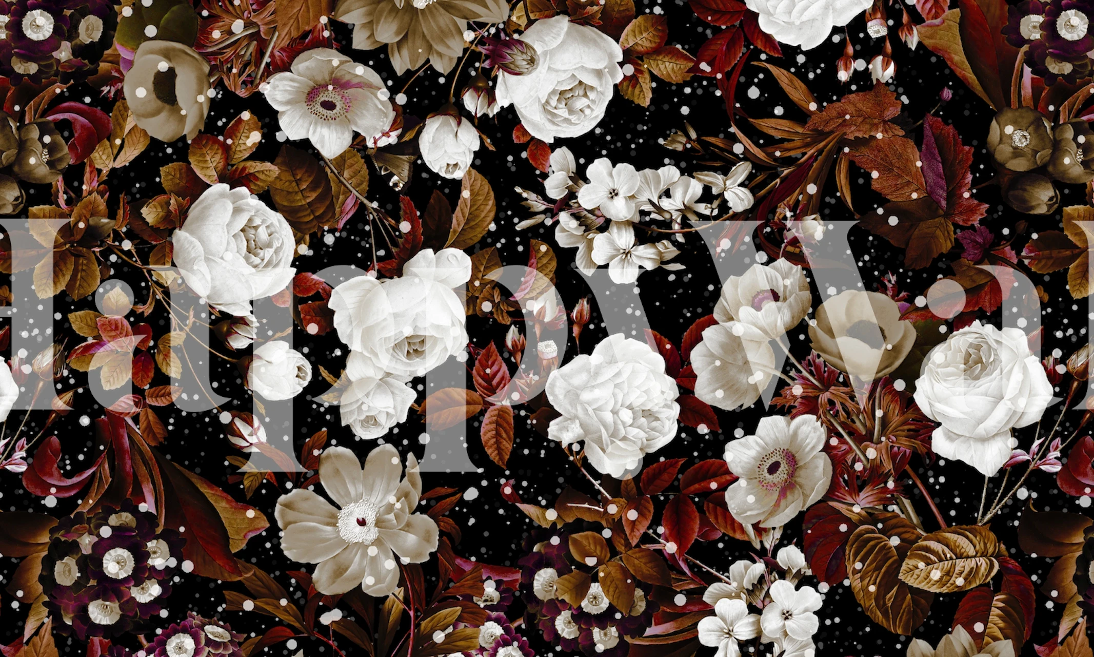 Black background with white flowers and colorful leaves wallpaper