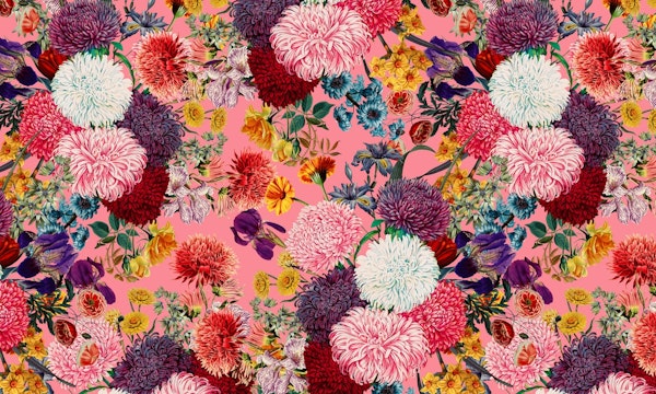 Floral Pink Pattern