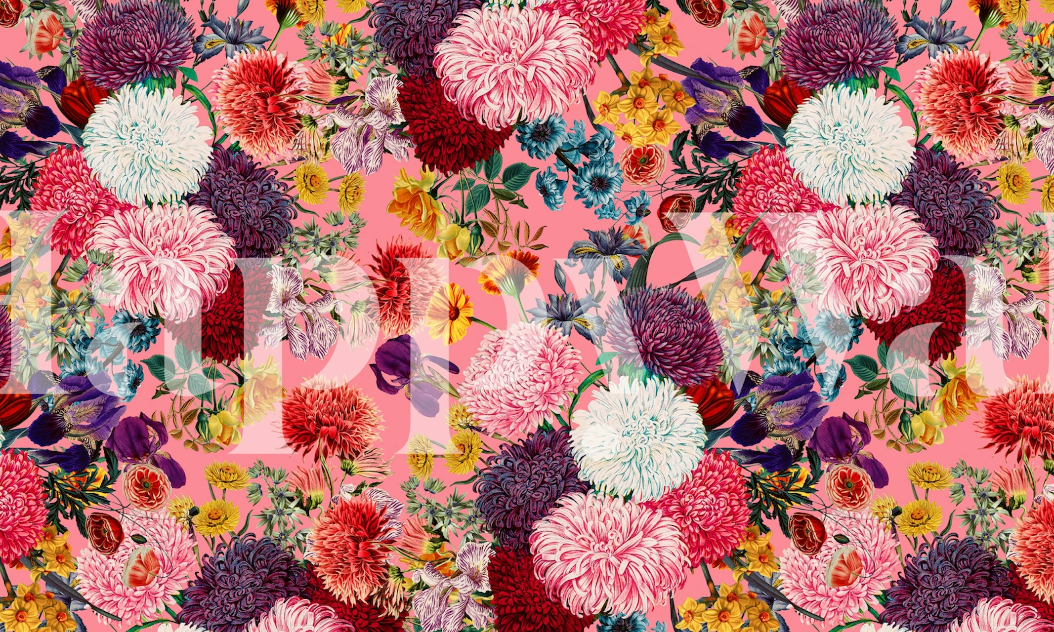 Colorful flowers in pink, purple, and yellow on pink background wallpaper