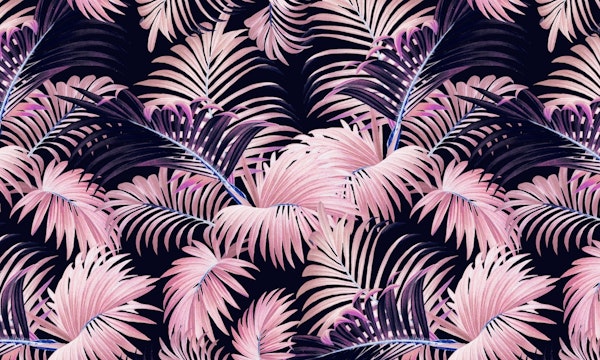 Tropical Magic Forest V