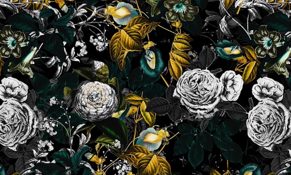 EXOTIC GARDEN - night