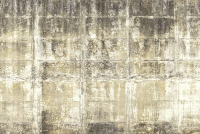 Τοιχογραφία