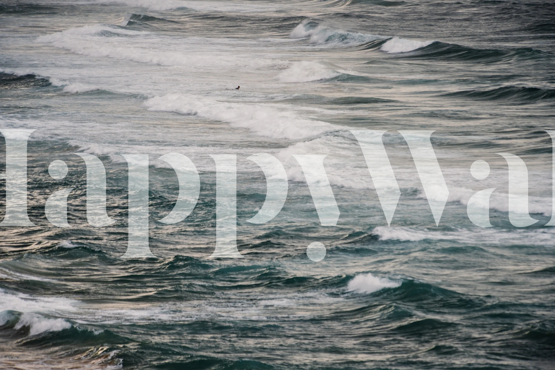 papier peint Winter Surfing V dans une pièce