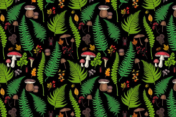 Woodland flora and fauna