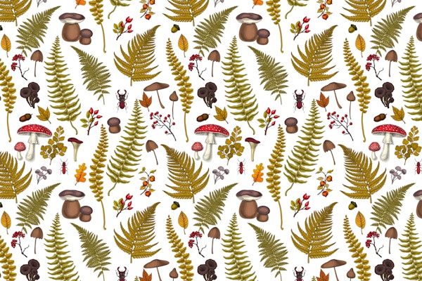 Woodland flora and fauna 2