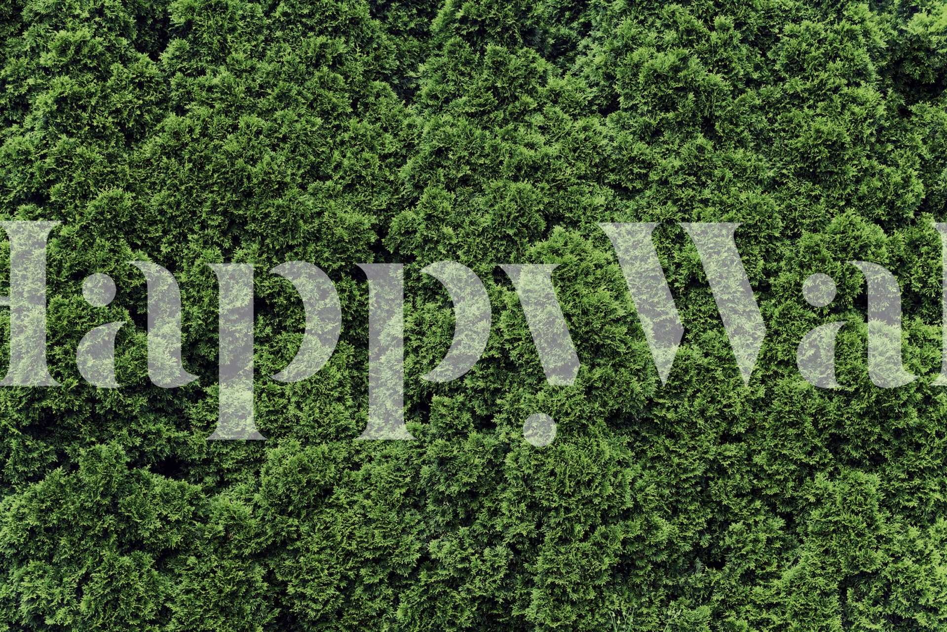 Lush green foliage pattern wallpaper