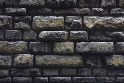 Τοιχογραφία