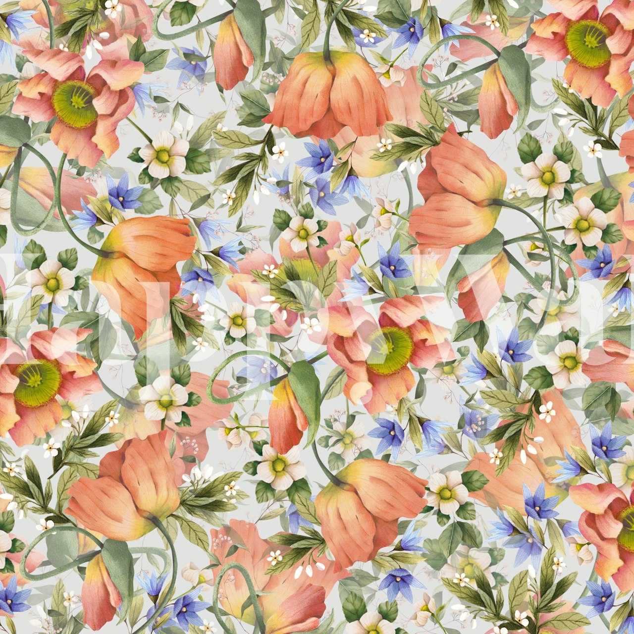 Poppy e fiori selvatici in una stanza