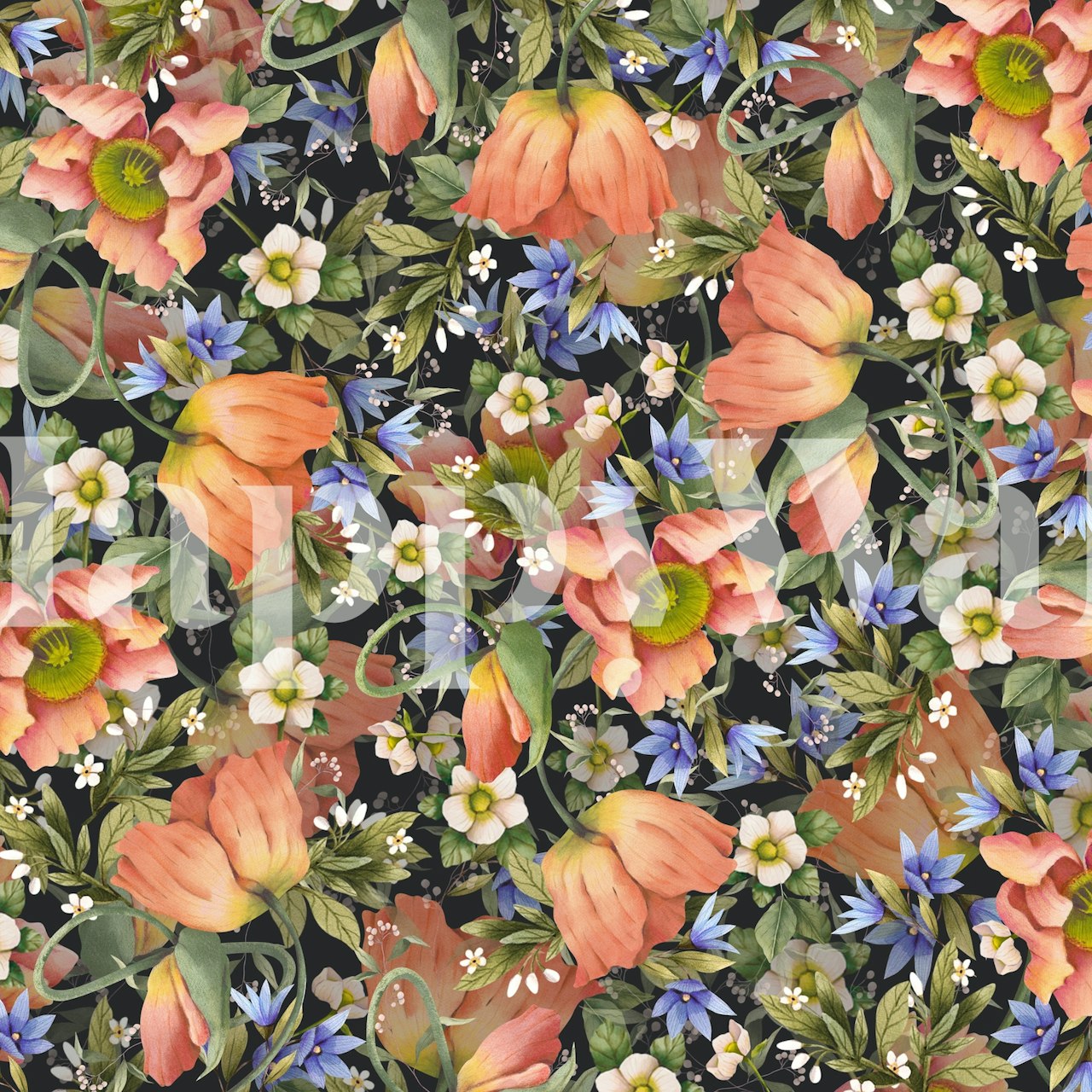 Poppy wallpaper on dark background in a room