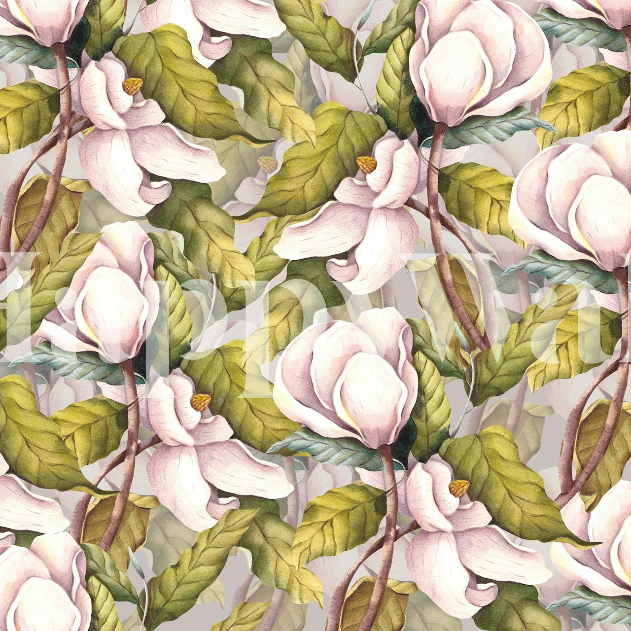 Pink magnolia flowers with green leaves wallpaper