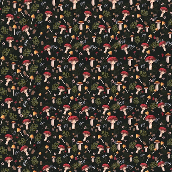 Mushrooms on dark background