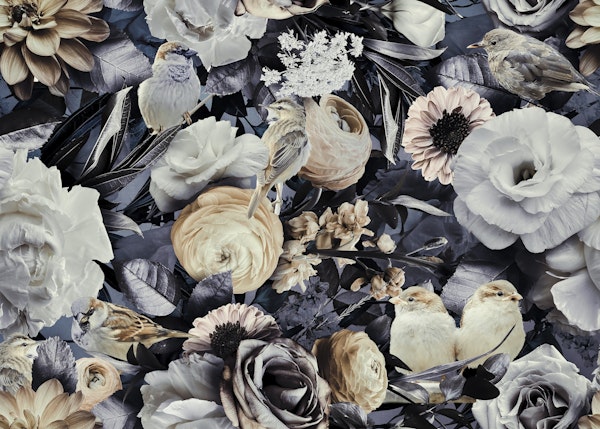 Moody Flowers And Birds